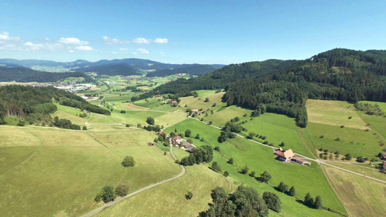 Blick über die grünen Hügel des Prinzbachtals im Schwarzwald